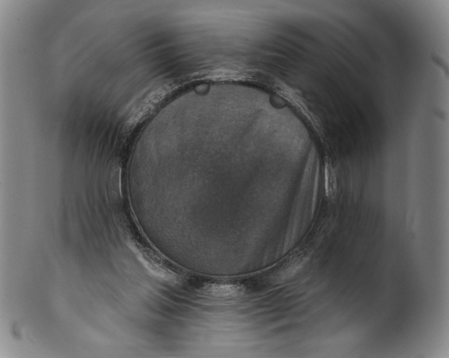 X0000101970205200808081558