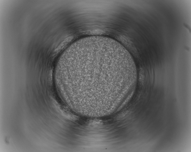 X0000101970206200808081558