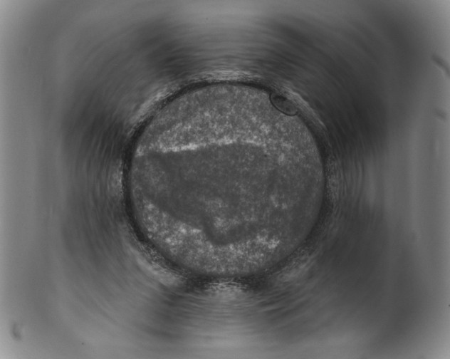 X0000101970207200808081558