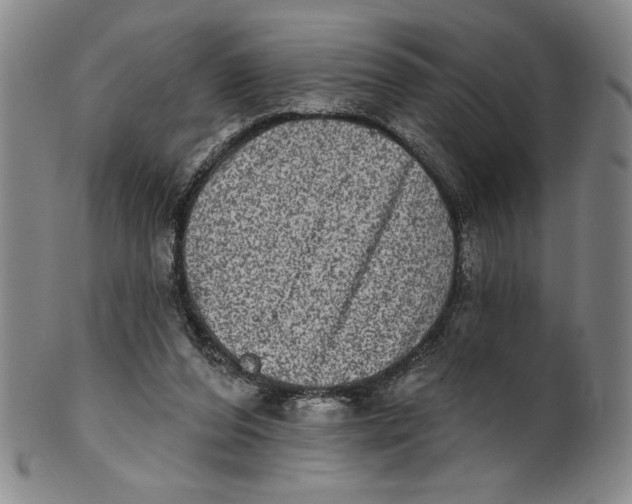 X0000101970208200808081558