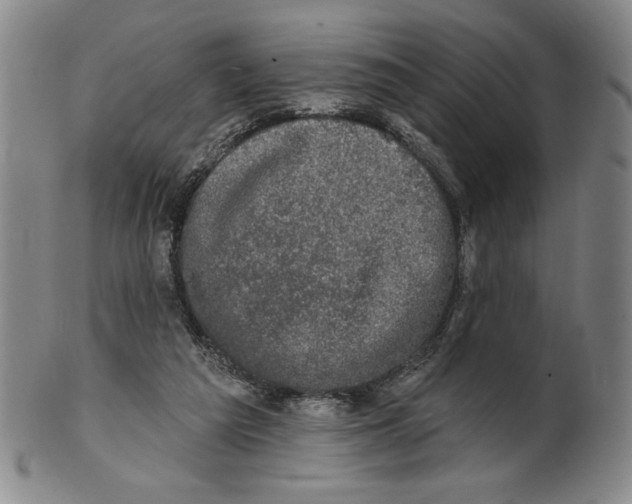 X0000101970209200808081558