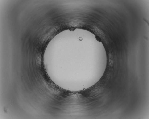 X0000101970210200808081558