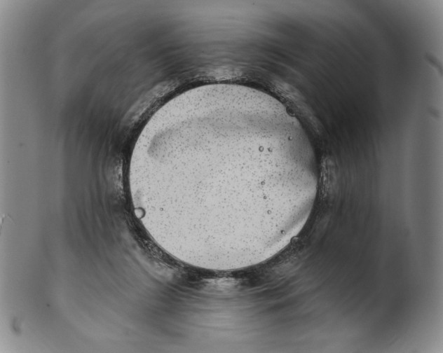 X0000101970212200808081558