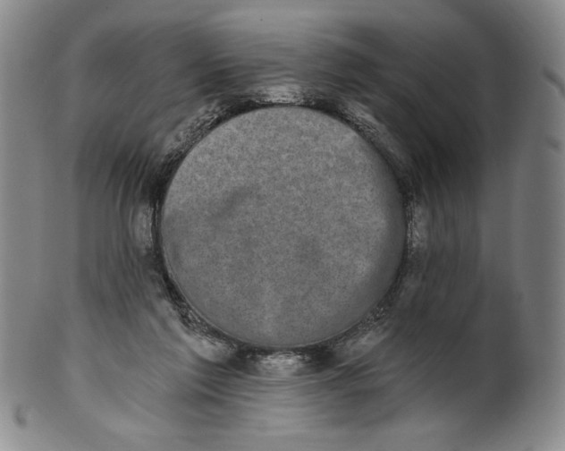 X0000101970213200808081558