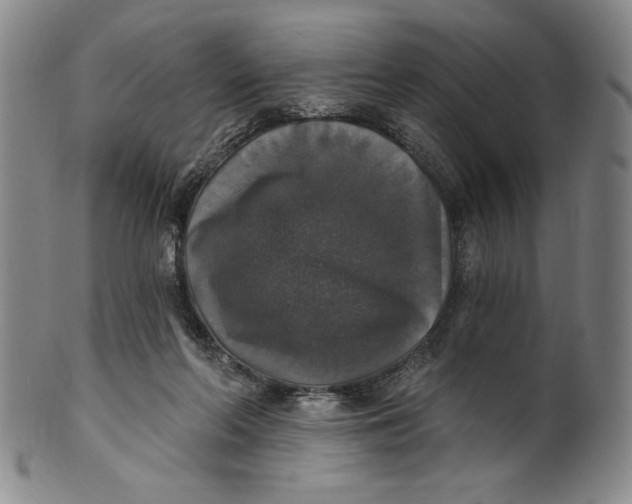 X0000101970214200808081558