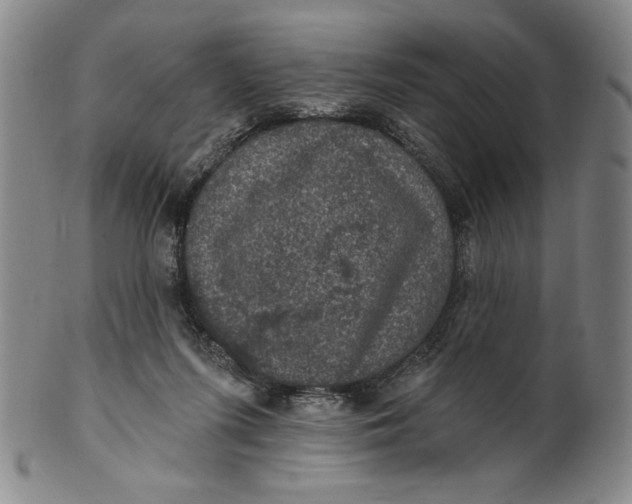 X0000101970215200808081558