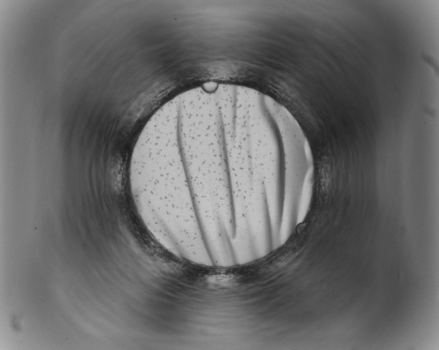X0000101970216200808081558