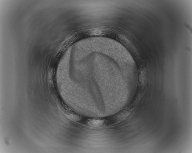 X0000101970217200808081558