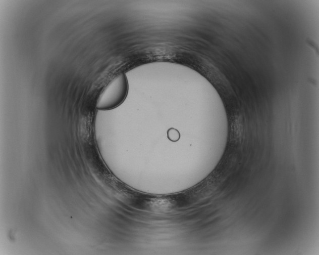 X0000101970218200808081558
