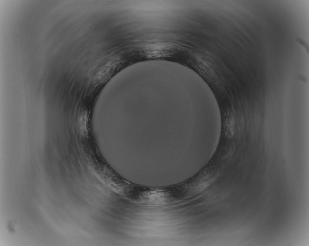 X0000101970219200808081558