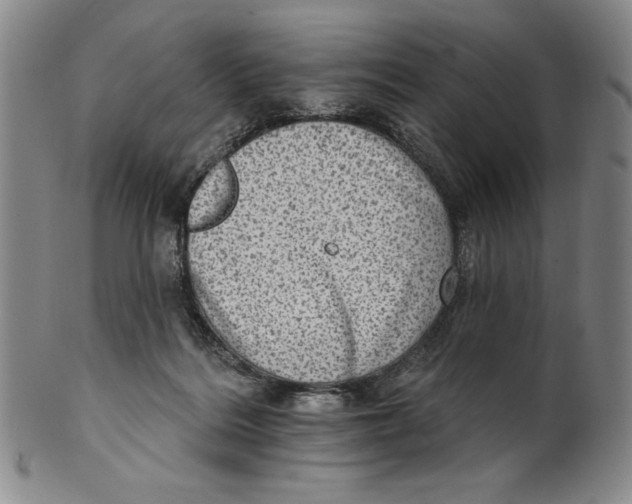 X0000101970220200808081558