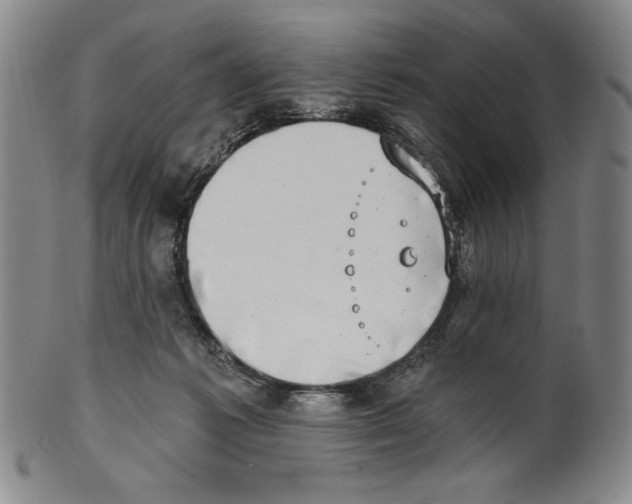 X0000101970221200808081558
