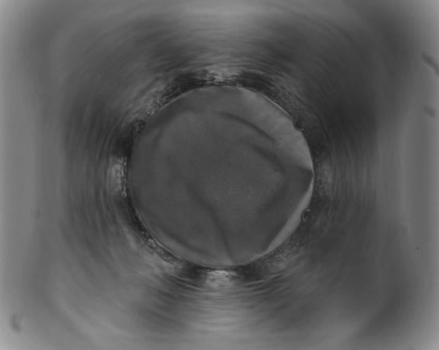 X0000101970222200808081558