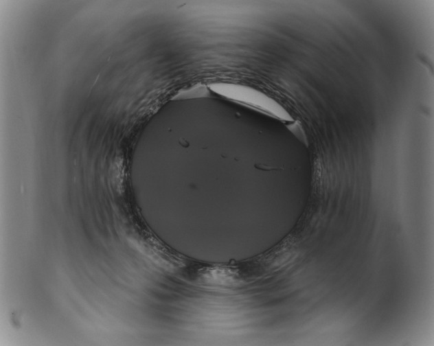 X0000101970223200808081558