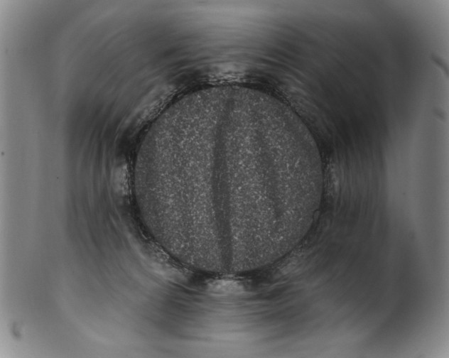 X0000101970224200808081558