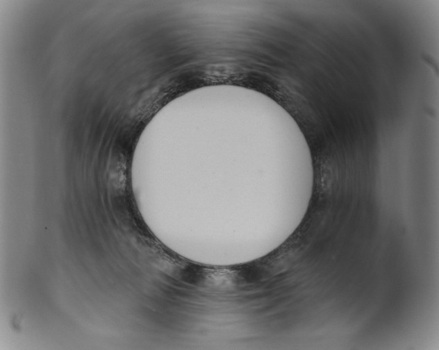 X0000101970226200808081558