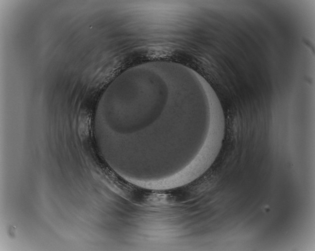 X0000101970227200808081558