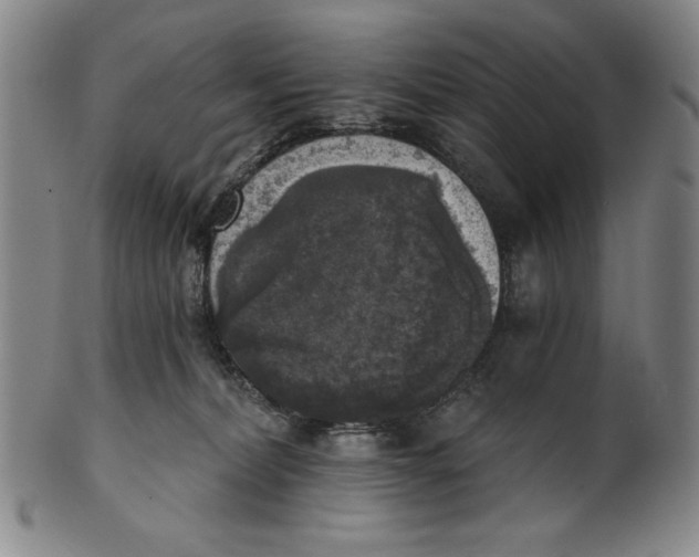 X0000101970228200808081558