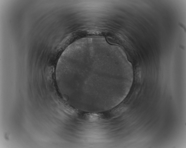 X0000101970229200808081558