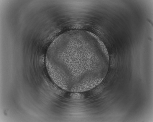 X0000101970230200808081558