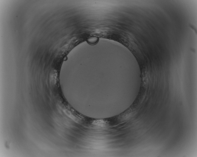 X0000101970231200808081558