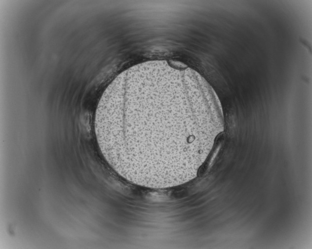 X0000101970232200808081558