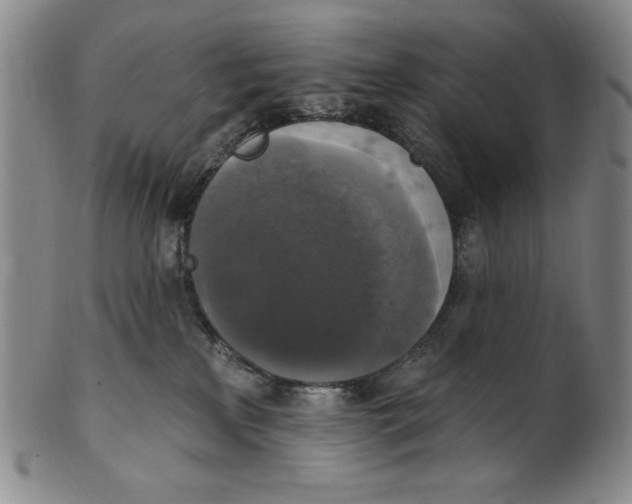 X0000101970233200808081558