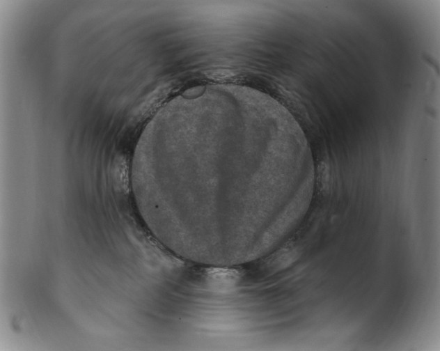 X0000101970234200808081558