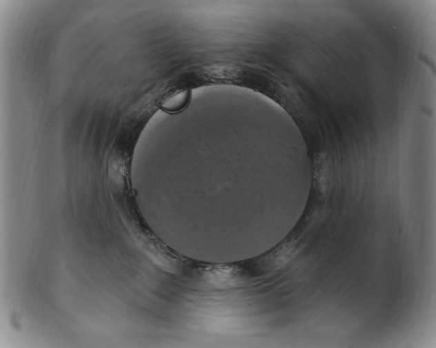 X0000101970235200808081558