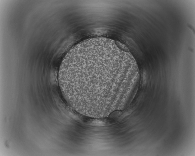 X0000101970236200808081558