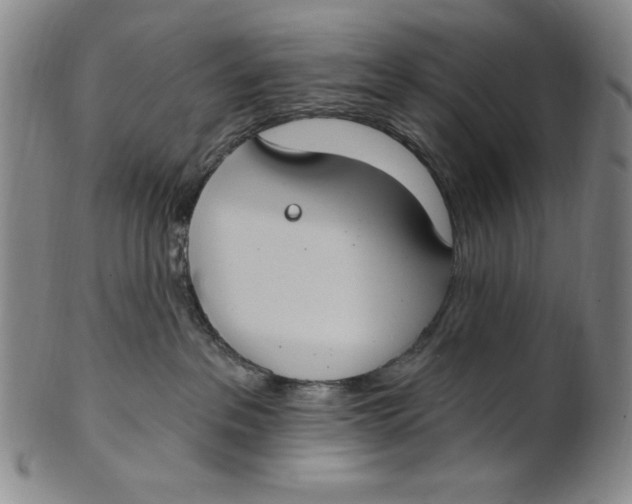 X0000101970237200808081558