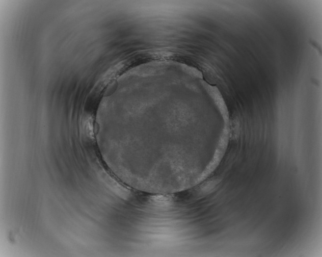 X0000101970238200808081558