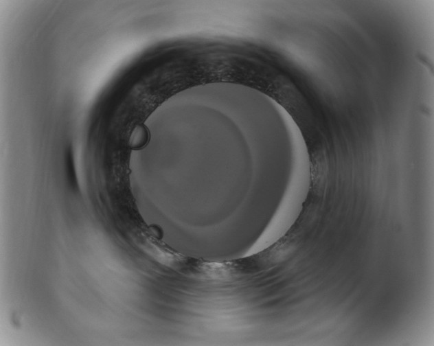 X0000101970239200808081558