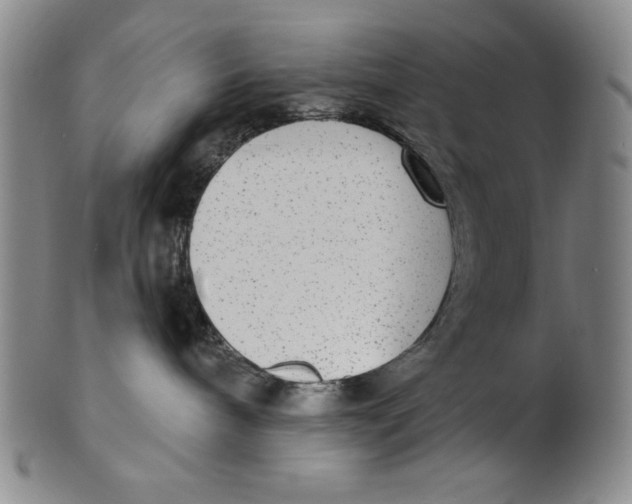 X0000101970240200808081558