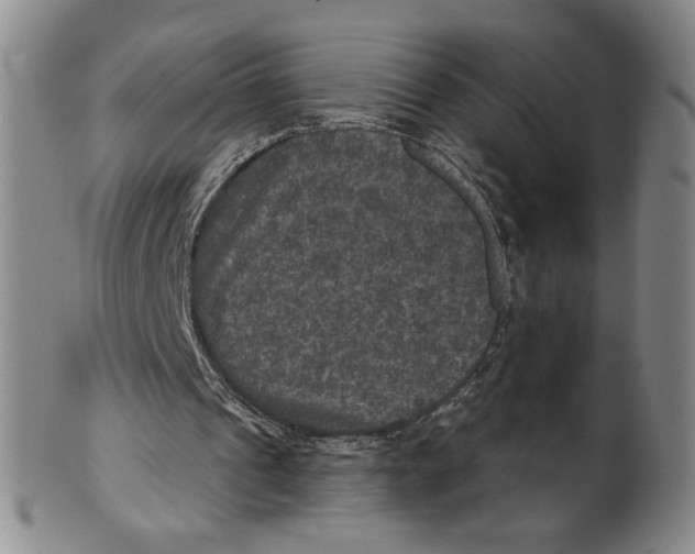 X0000101970241200808081557