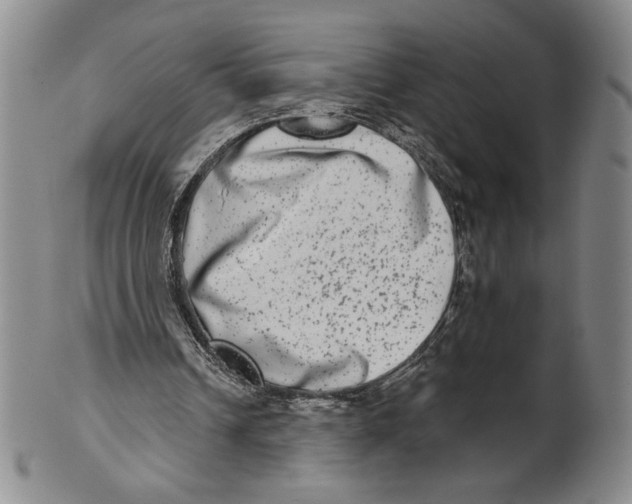 X0000101970242200808081557