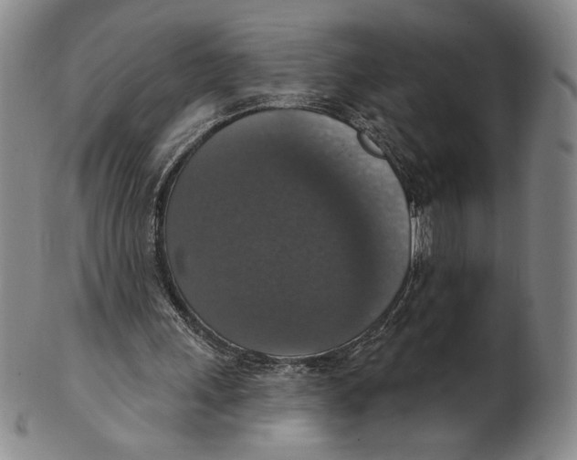 X0000101970243200808081557