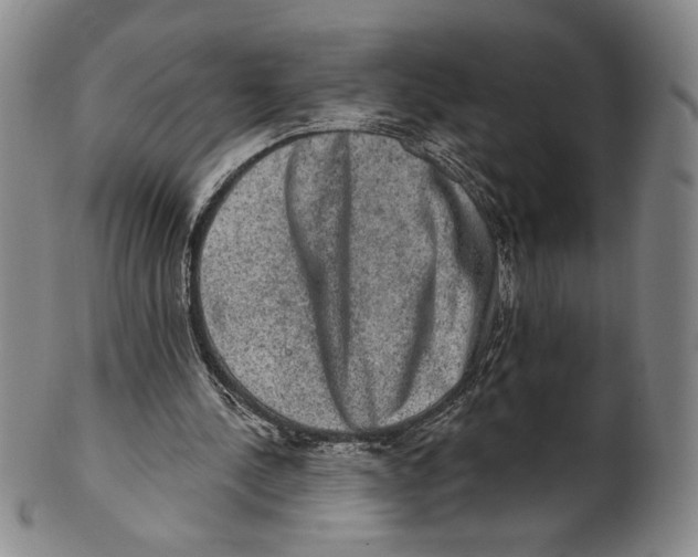 X0000101970244200808081557