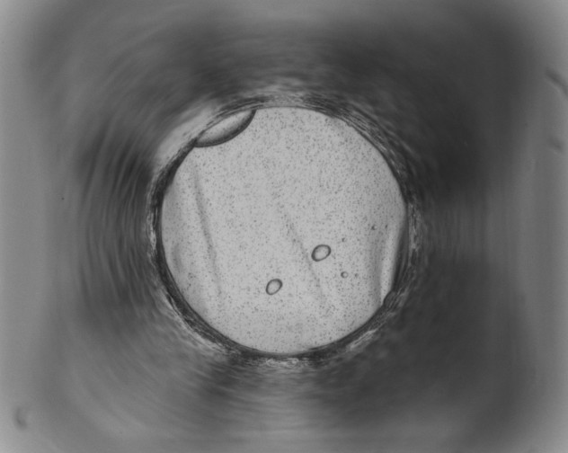 X0000101970245200808081557