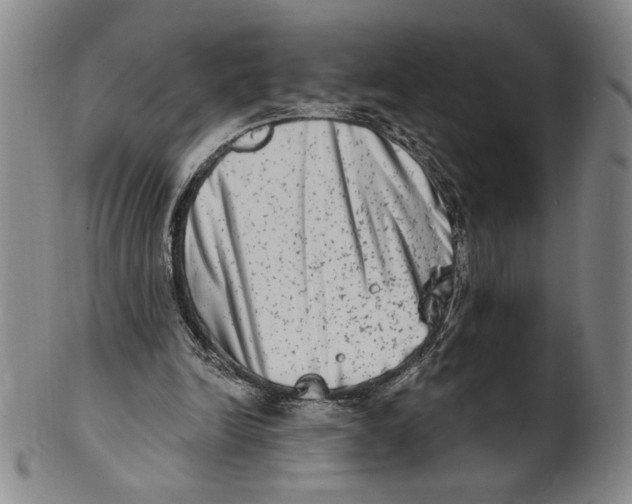 X0000101970246200808081557