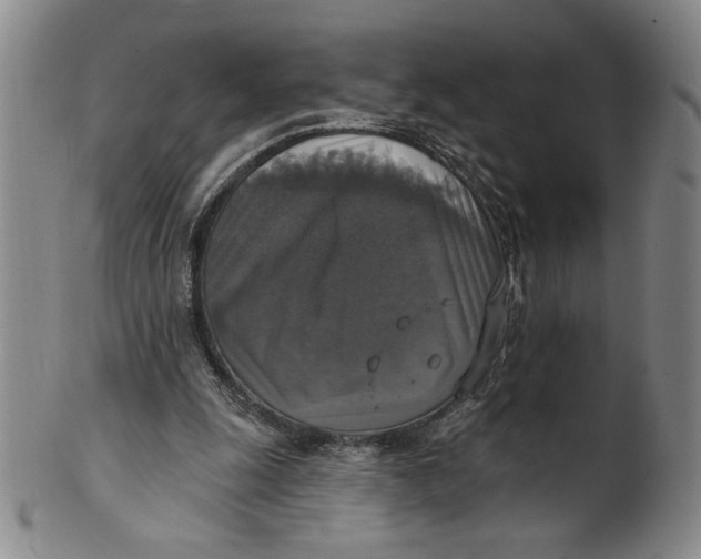 X0000101970247200808081557