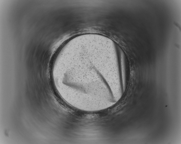 X0000101970248200808081557
