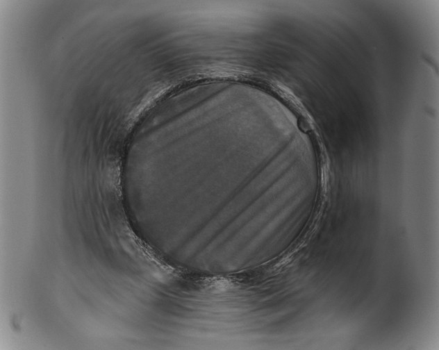 X0000101970249200808081557