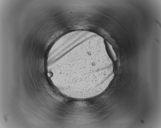 X0000101970250200808081557