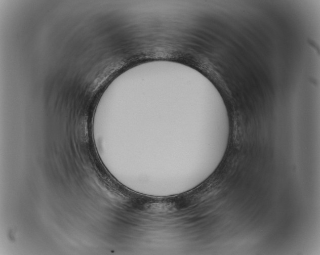 X0000101970251200808081557