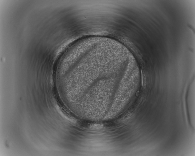 X0000101970252200808081557
