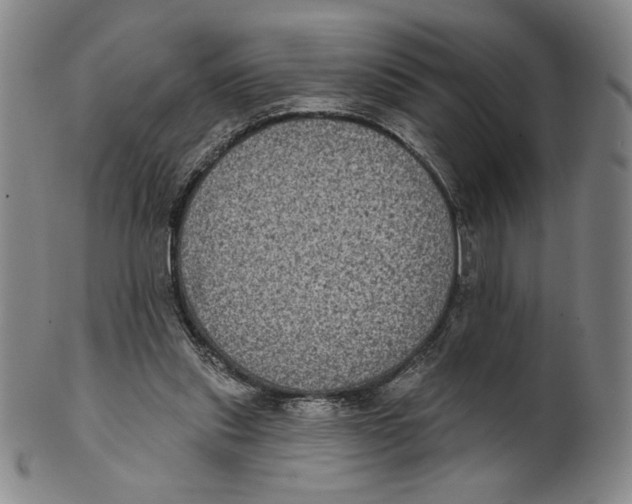 X0000101970253200808081557