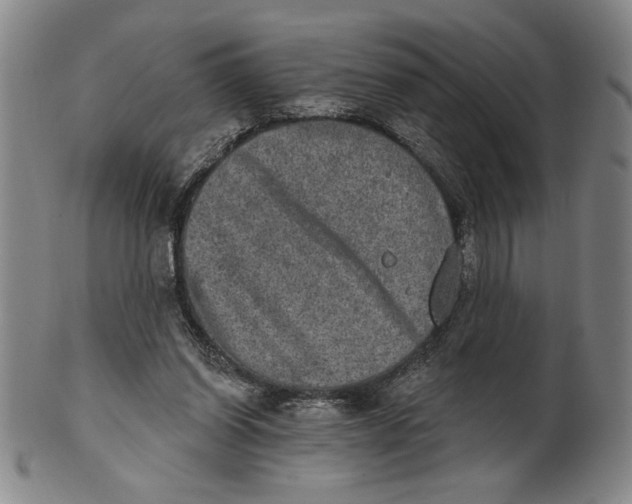 X0000101970254200808081557