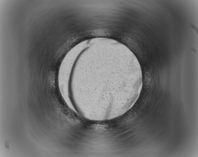 X0000101970255200808081557