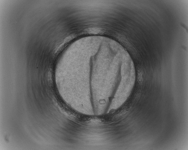 X0000101970256200808081557